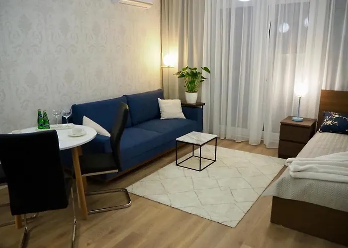Studio Nr 2 Close To Medicover And Paley Institute